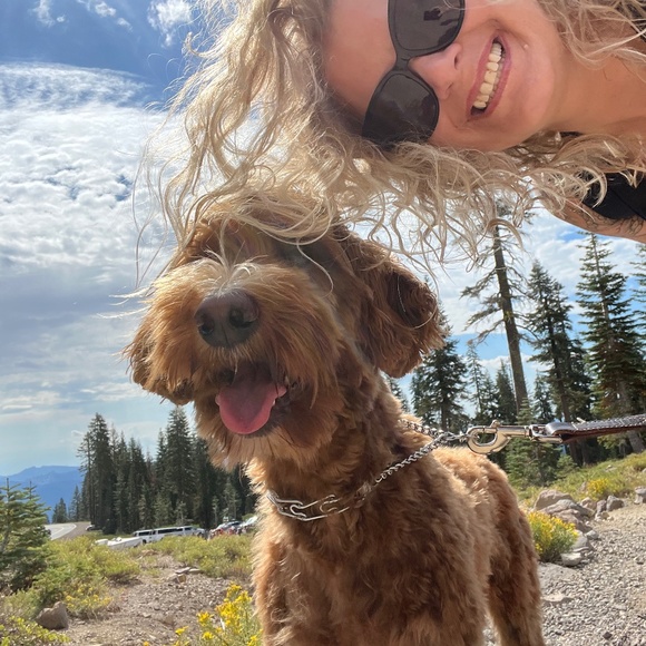 Meet your Posher, Suzanne - Picture 1 of 1